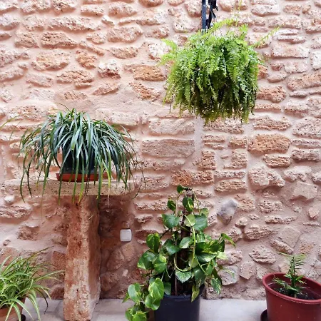 House Ca Na Polida * Alcudia (Mallorca)